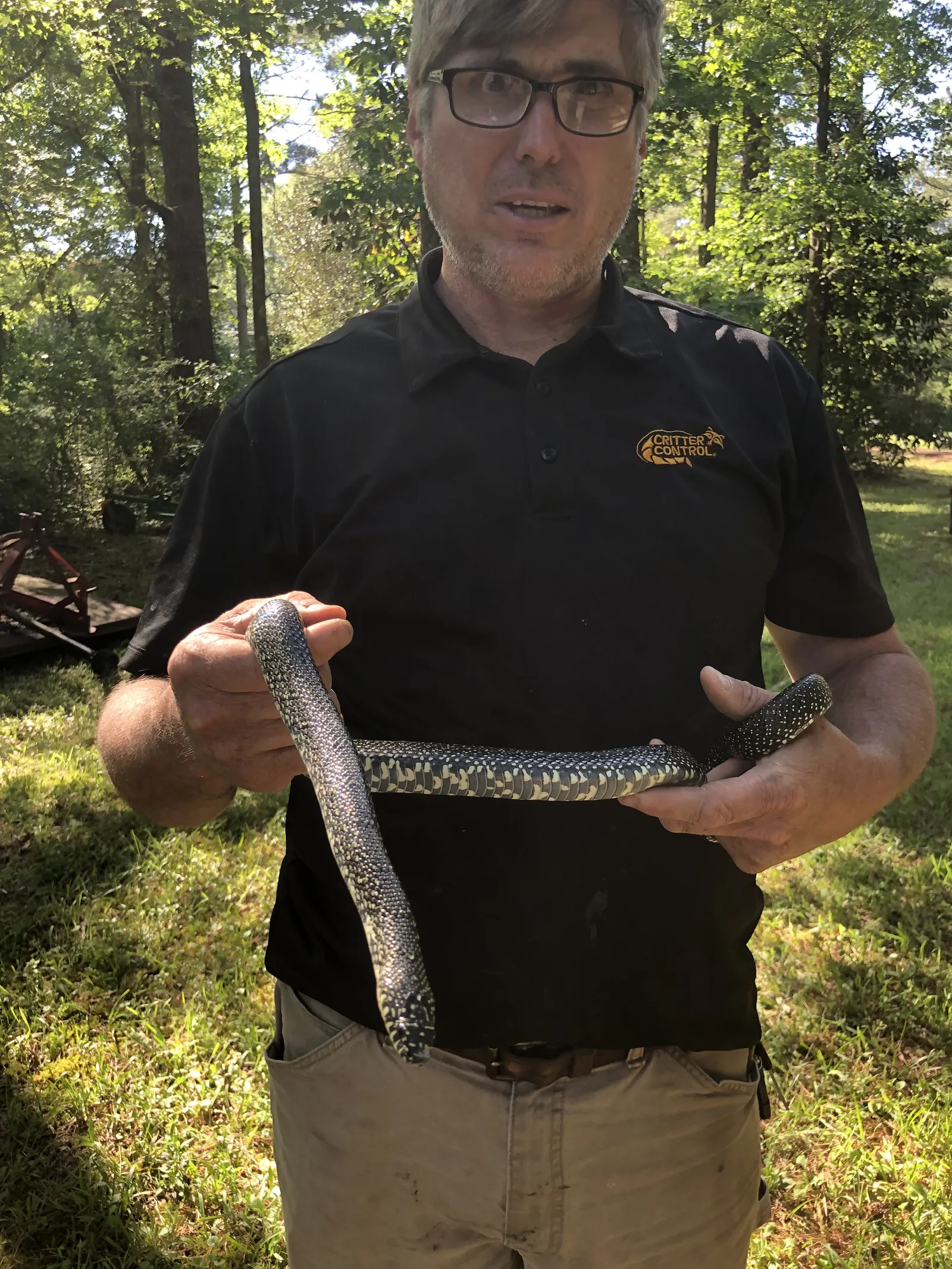 A Critter Control technician holding a long dark snake