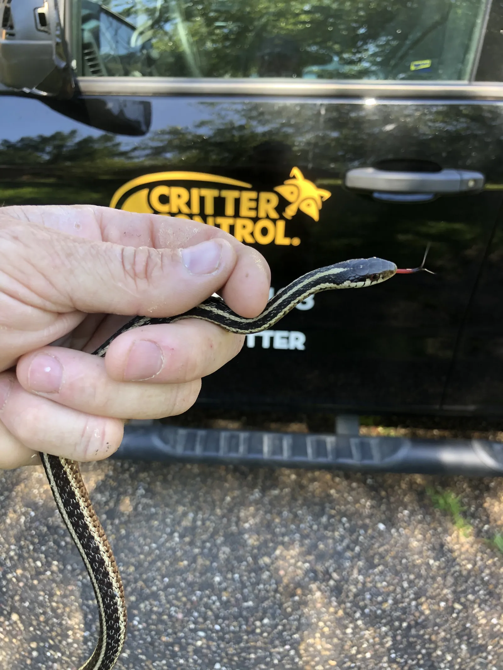A small snake held in front of a Critter Control shirt