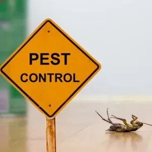 A yellow pest control warning sign beside an overturned cockroach