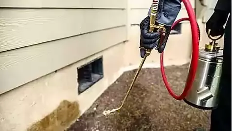 A technician applying a pest treatment along the foundation of a house